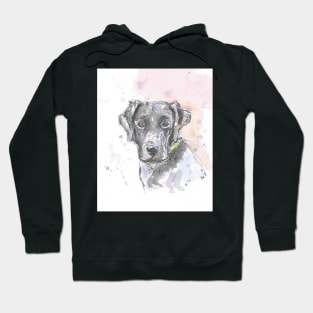 Black Labrador portrait. Hoodie